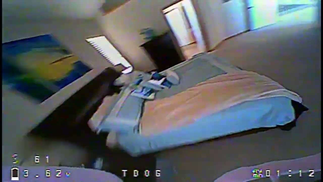Tiny Whoop Freestyle II