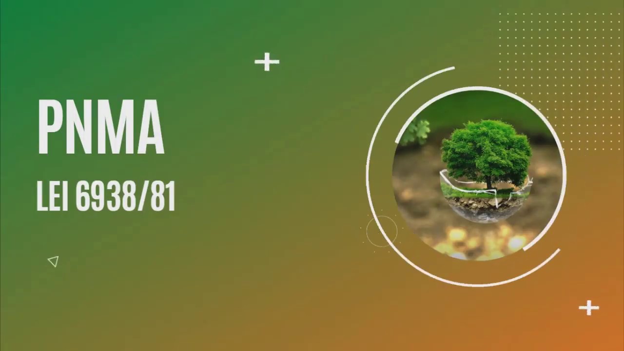 O que é a Política Nacional do Meio Ambiente? (PNMA Lei 6.938/81)