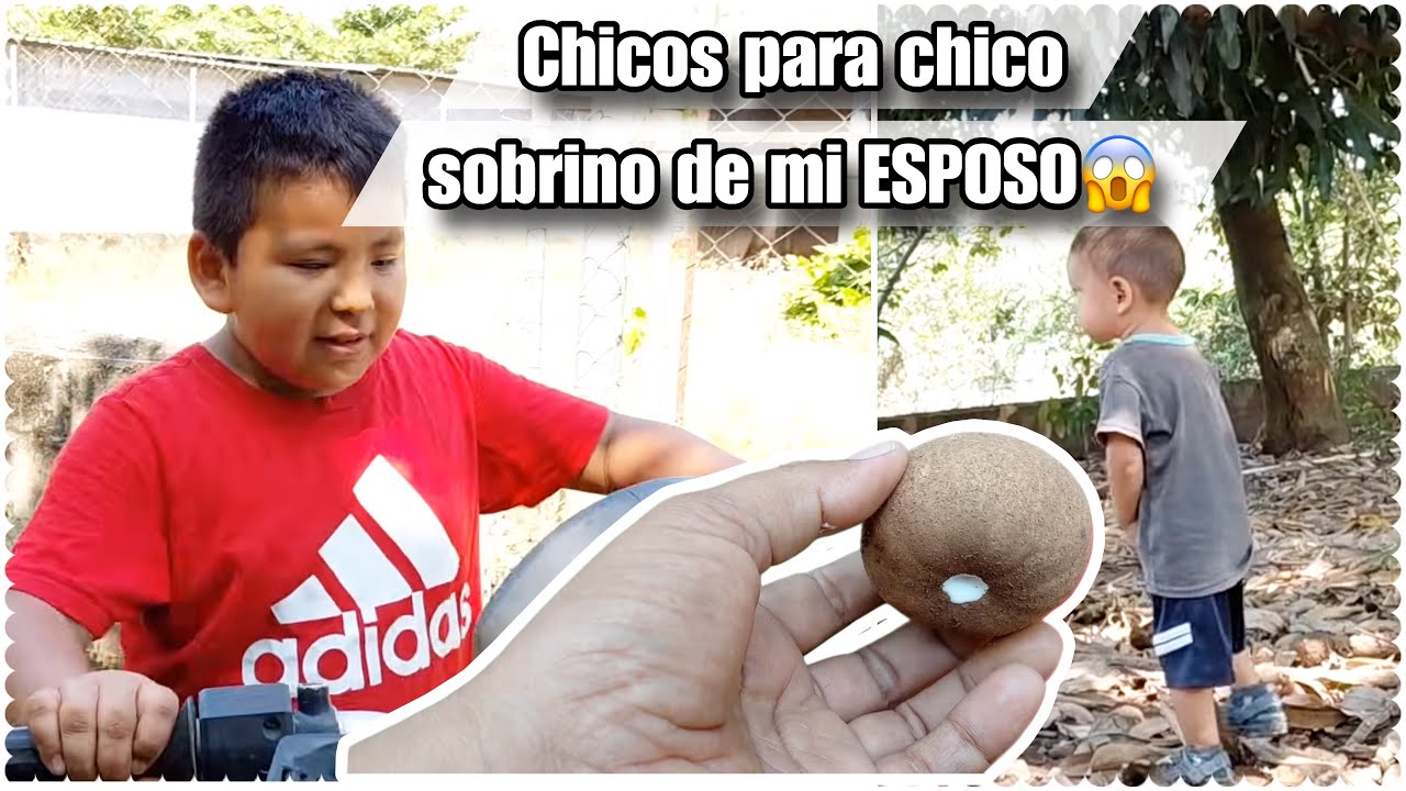Me pidieron un gran favor y lo hice: fuimos a traer chicos una fruta sabrosa de Guatemala 