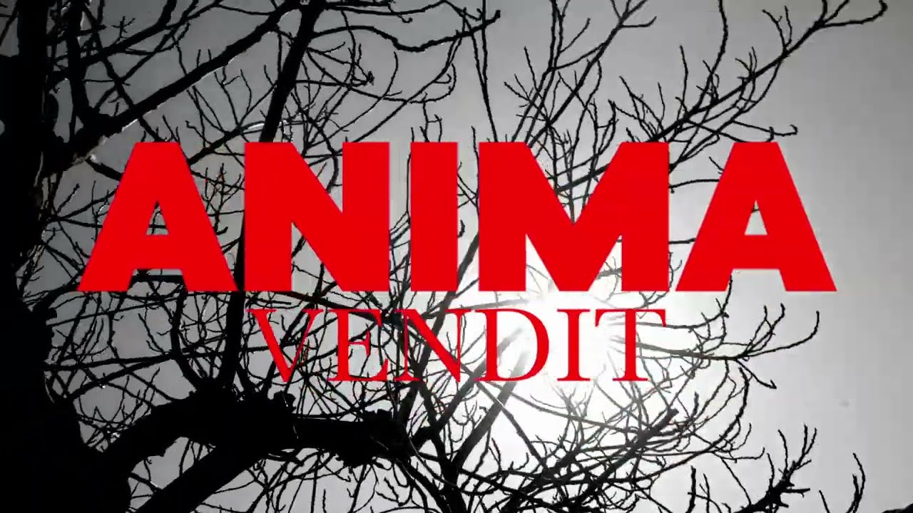 Cookah P - Anima Vendit (WYFL Riddim)