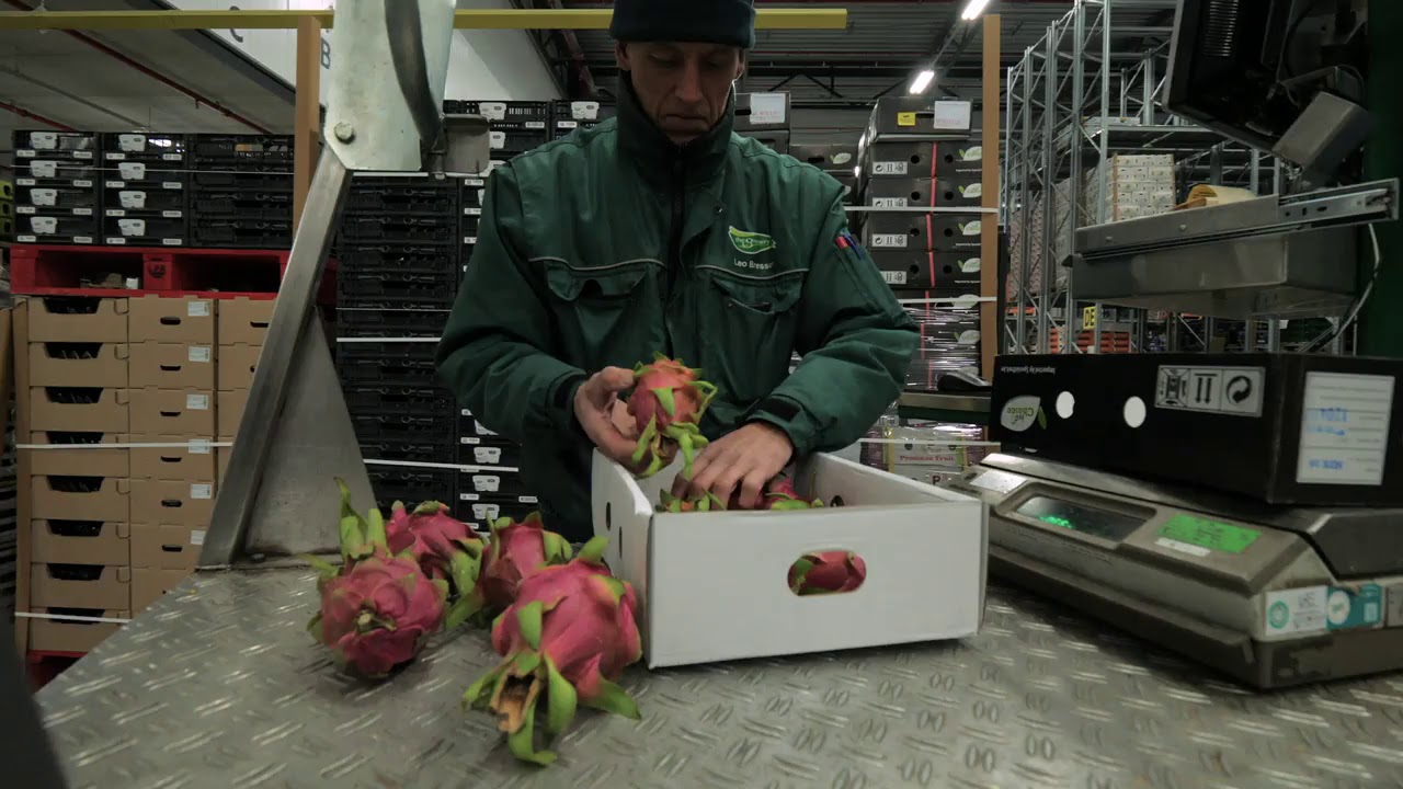 RDC The Greenery Barendrecht