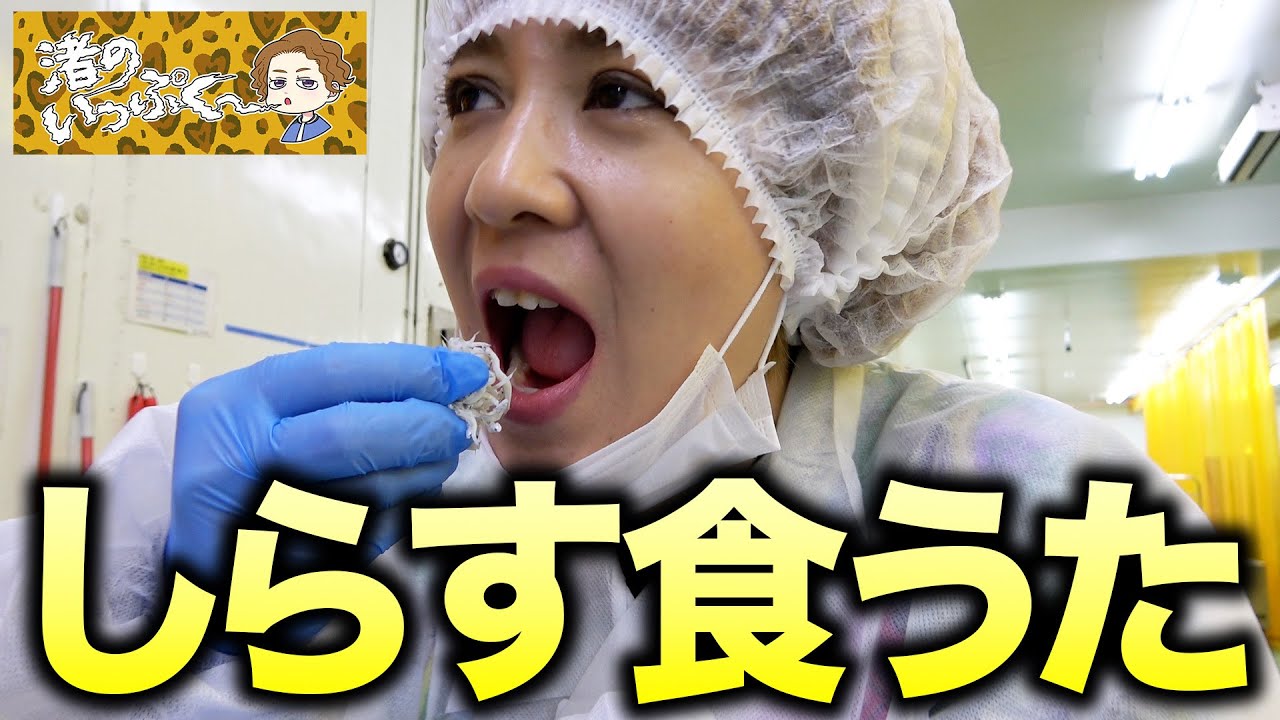 【日立市旅行最終章】日本一のスライダーから始まってハンターに狙われて昼寝して糞して、最後はこれ！「しらす工場でにわかファンの花火で衝撃告白で一丁上がり！」【渚のいっぷく】
