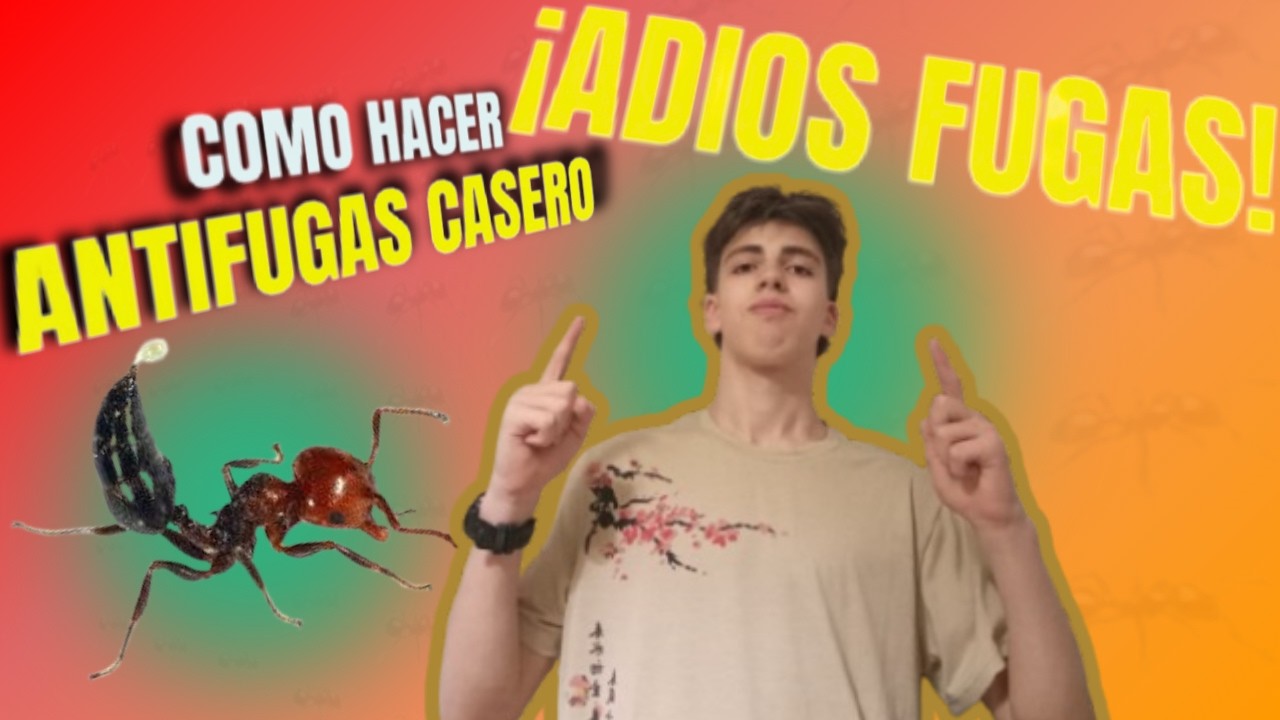 Cómo Hacer un Antifugas Casero para Hormigas 🐜🚫