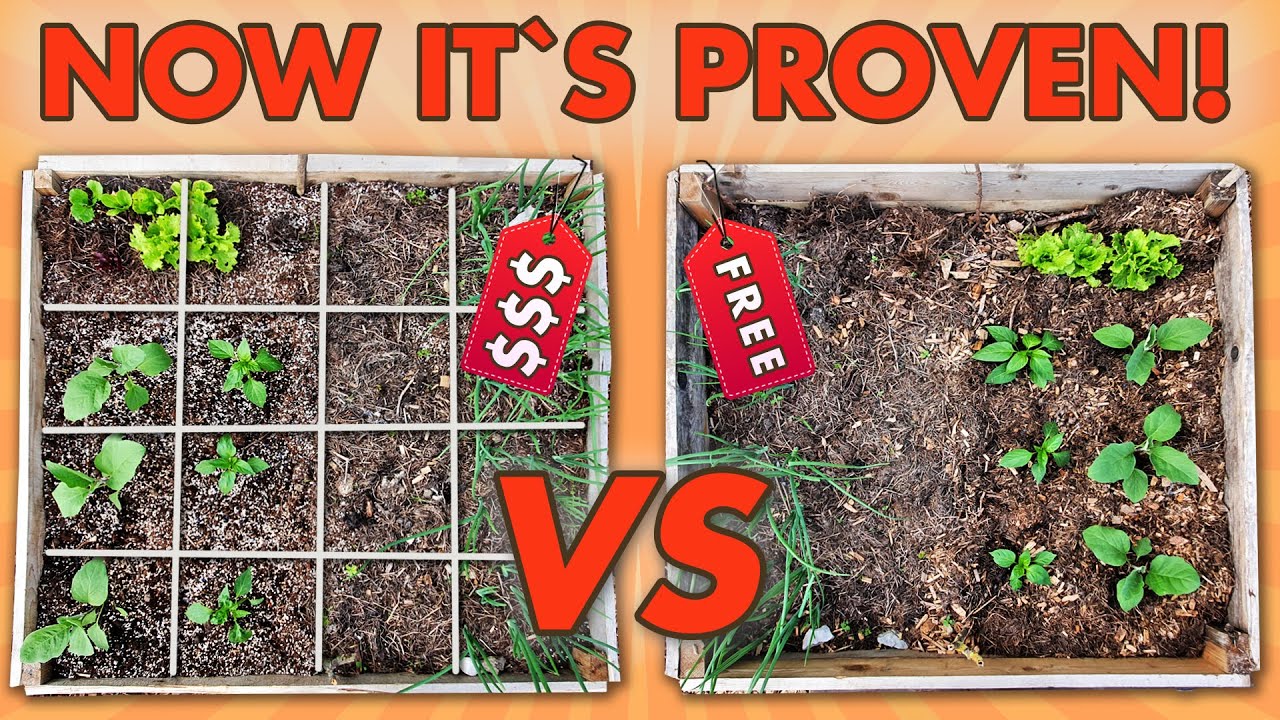 The BEST SOIL MIX For Raised Vegetable Beds | SQUARE FOOT GARDENING SOIL MIX vs TOP SOIL