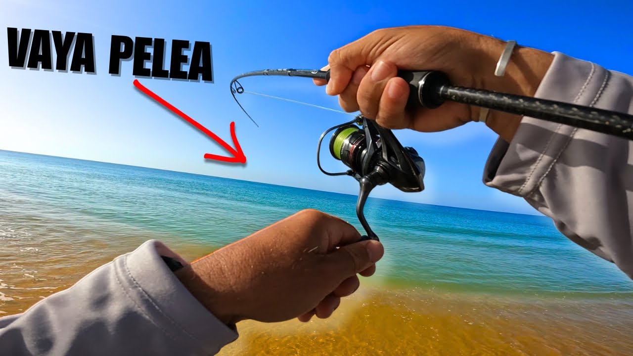 BUENA PESCA a SPINNING con EQUIPO de 1 a 10 gramos en este RINCÓN del Paraíso (DOÑANA)