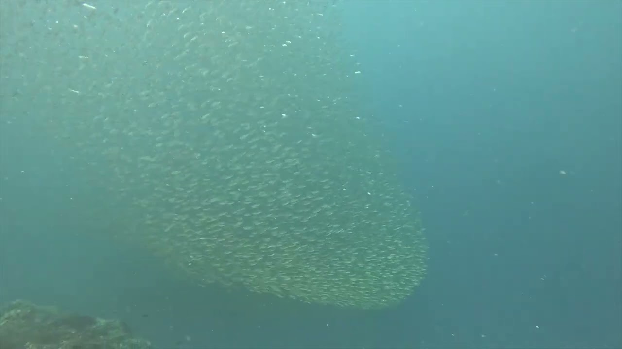 log 63