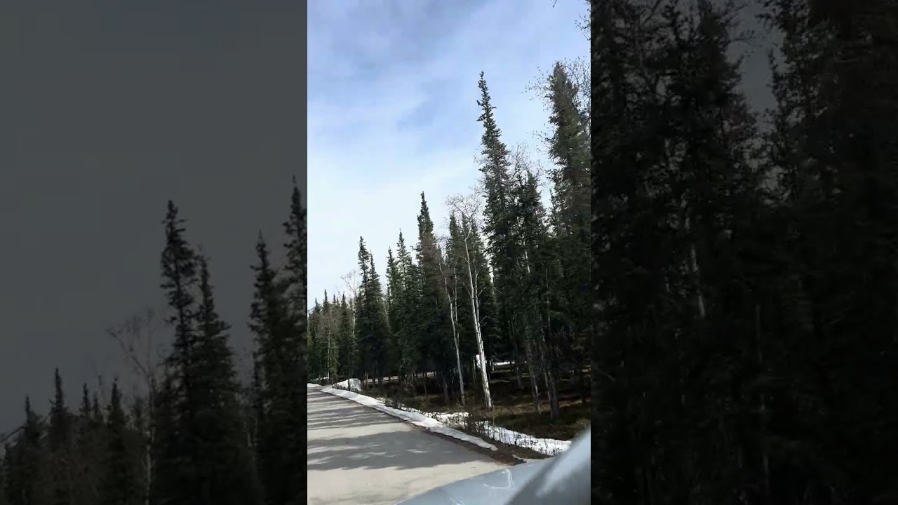 Denali Riley Creek campground status as of May 7, 2024
