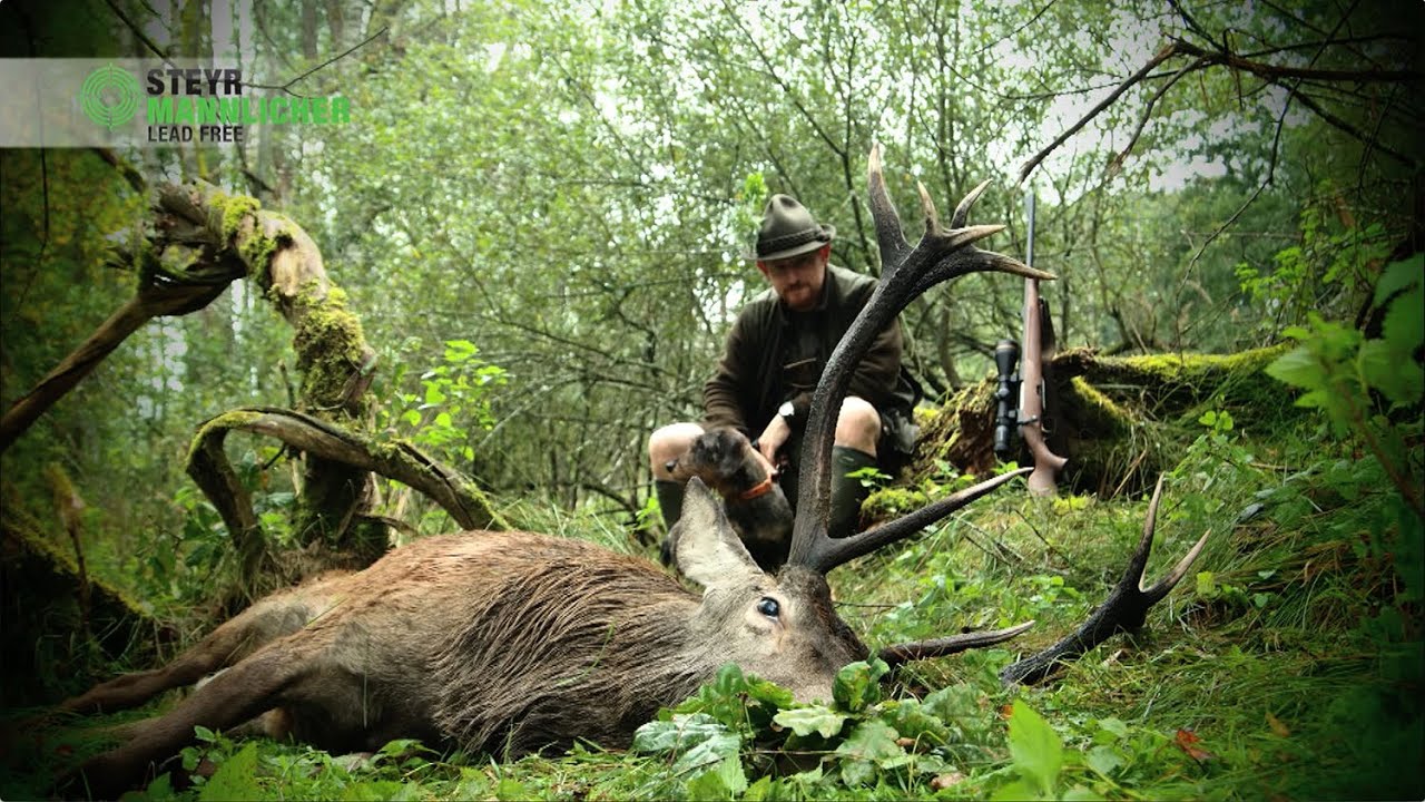 STEYR MANNLICHER Lead free