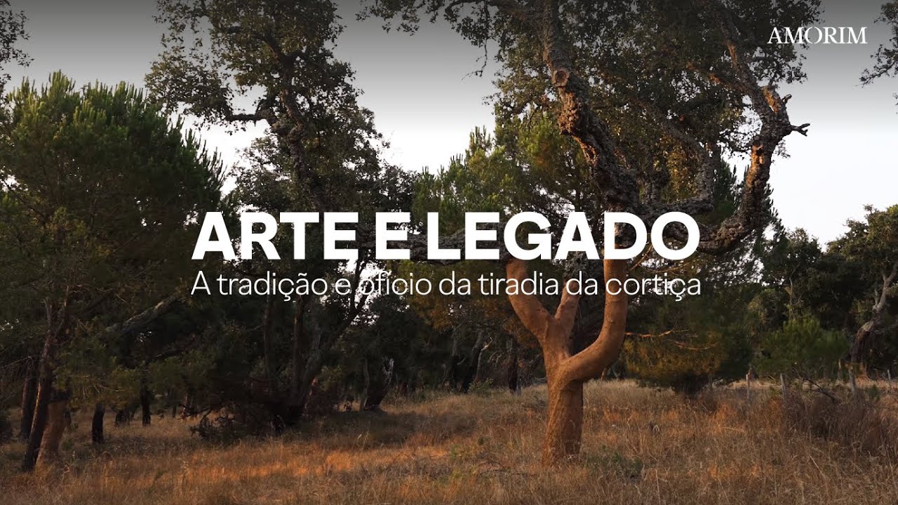 Arte e Legado  - A tradição e ofício da tiradia da cortiça (PT)