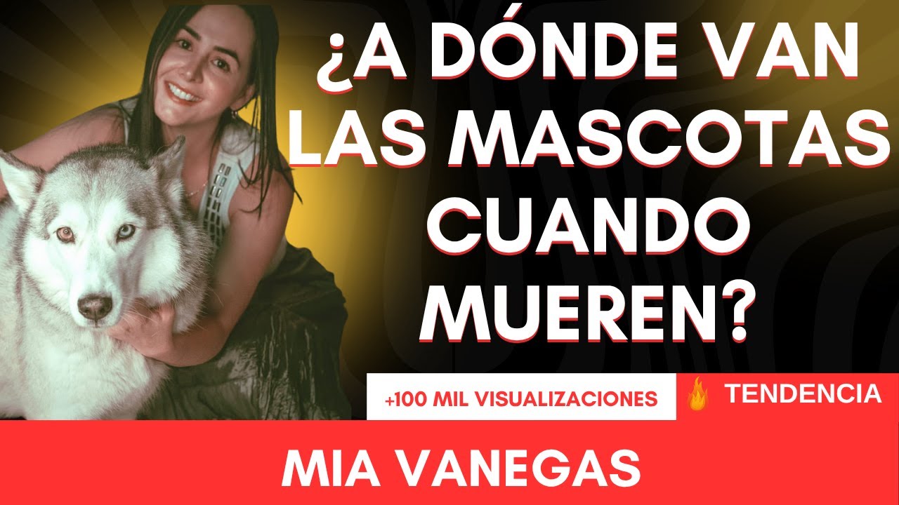 LOS ANIMALES TAMBIÉN TIENEN ALMA: UN TESTIMONIO QUE TE HARÁ LLORAR