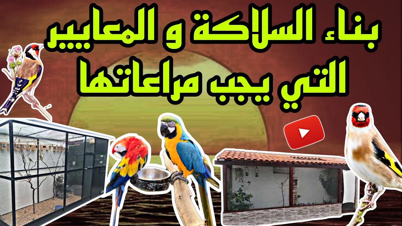 المعايير التي يجب مراعاتها قبل بناء السلاكة اوْ غرفة الإنتاج (الدرس الثاني)