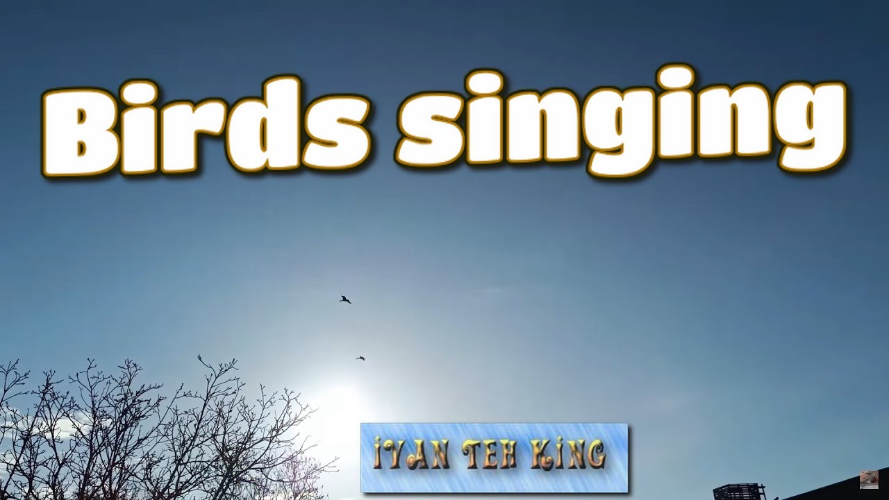 ÖLANDS BIRD SINGING 4K SWEDISH RELAX SOUND! 2022. ÖLANDS FÅGSÅNG 4K SVENSK RELAX LJUD! 2022. #ÖLANDS