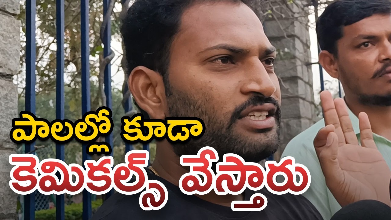 పాలల్లో కూడా కెమికల్స్ ఉంటాయి | Tirupati Laddu Controversy | Public Opinion #laddu #tirupati