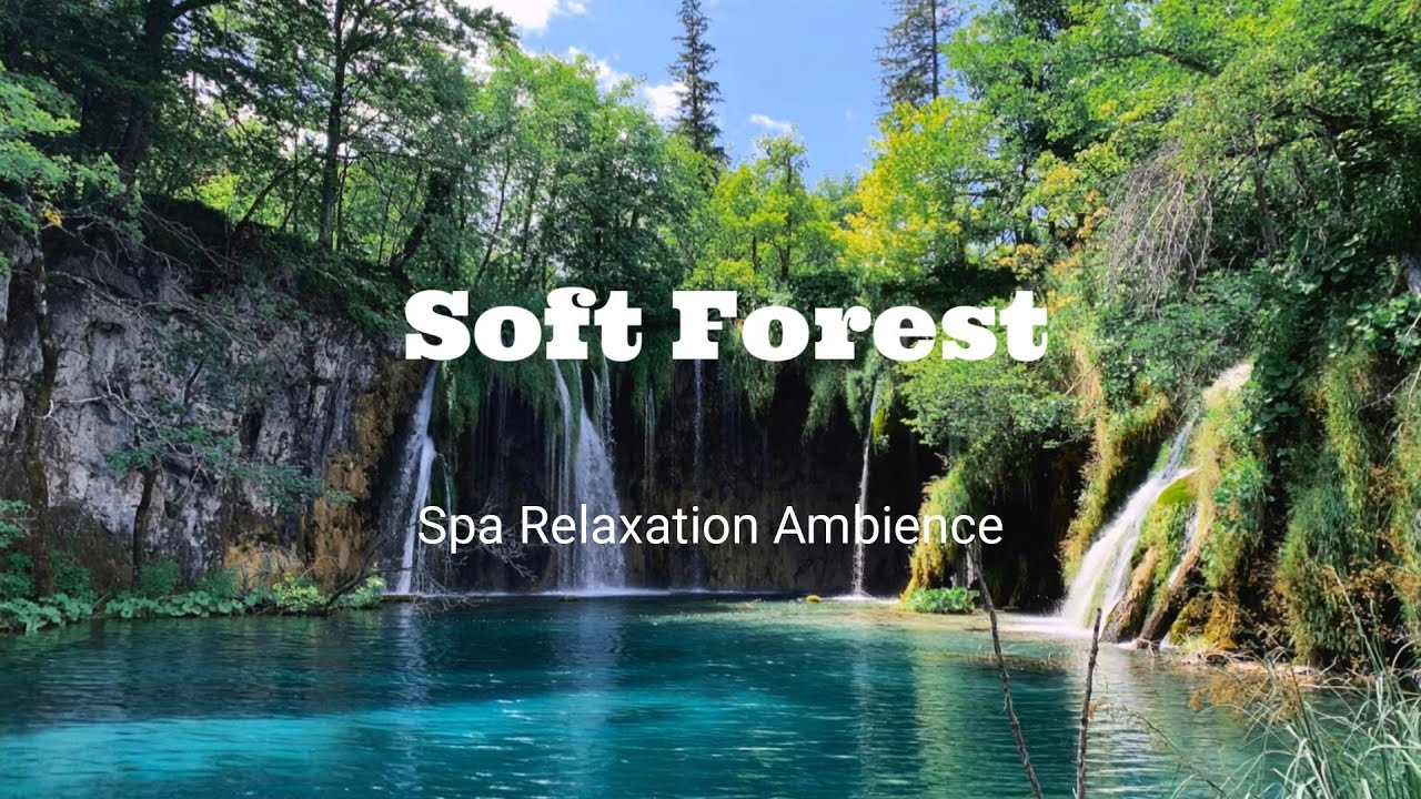 Soft Forest | Forest Spa Ambience with Water & Birds (1 Hour) Vol. 03