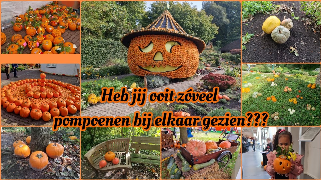 POMPOENDAGEN & Halloween! Klok & Peel... Wat zijn dat veel pompoenen!!!