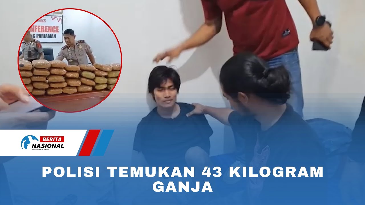 Polisi Temukan 43 Kilogram G4nja