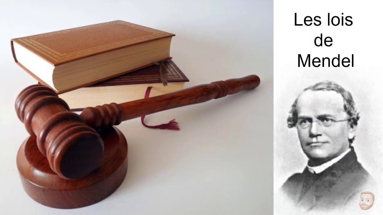 Les lois de Mendel