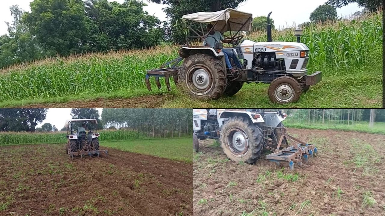 Eicher 368 with 9 tines cultivator 🚜 in normal soil 🌿🚜🍃