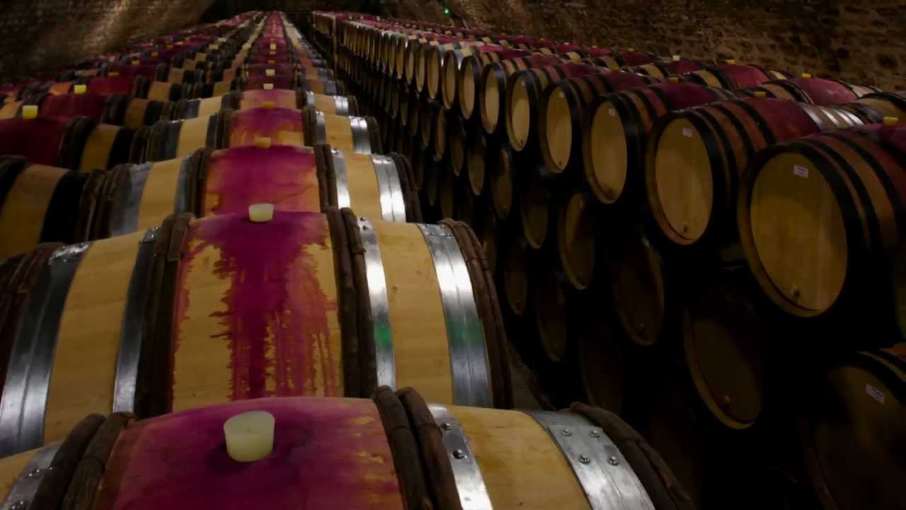 Burgundy Wine Behind the Bottle - Wine Oh TV