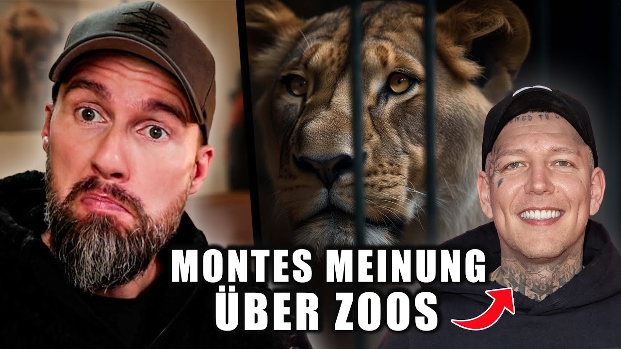 Werden Monte und ich doch noch Freunde? | Robert Marc Lehmann