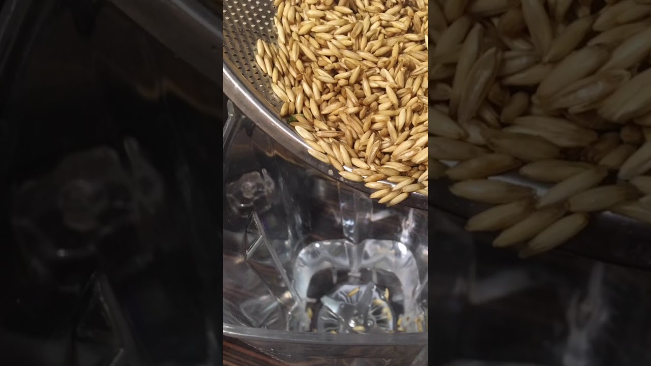 Лучшее в мире молоко из овса в шелухе! 🌾 Чистая и здоровая печень.