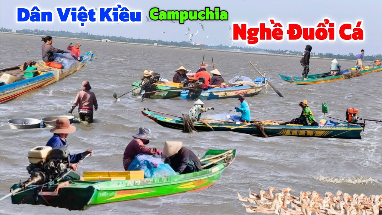 Bão LŨ dồn dập