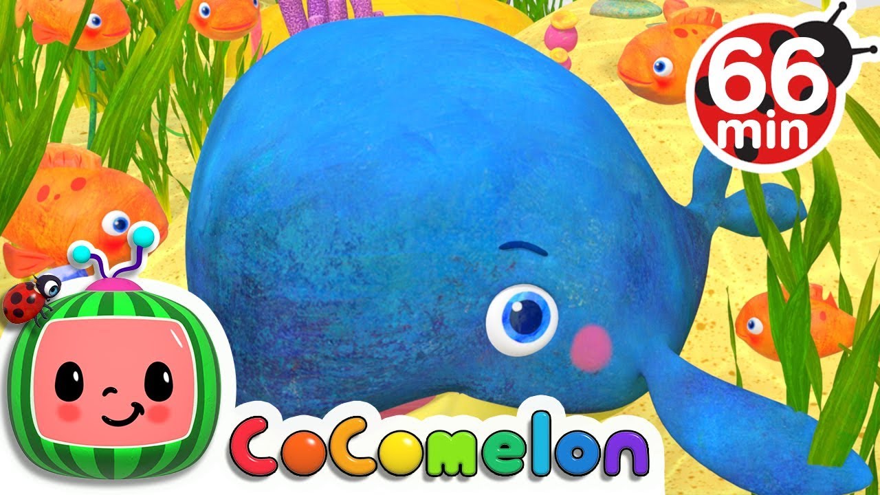 Baby Blue Whale Song + More Nursery Rhymes & Kids Songs - CoComelon