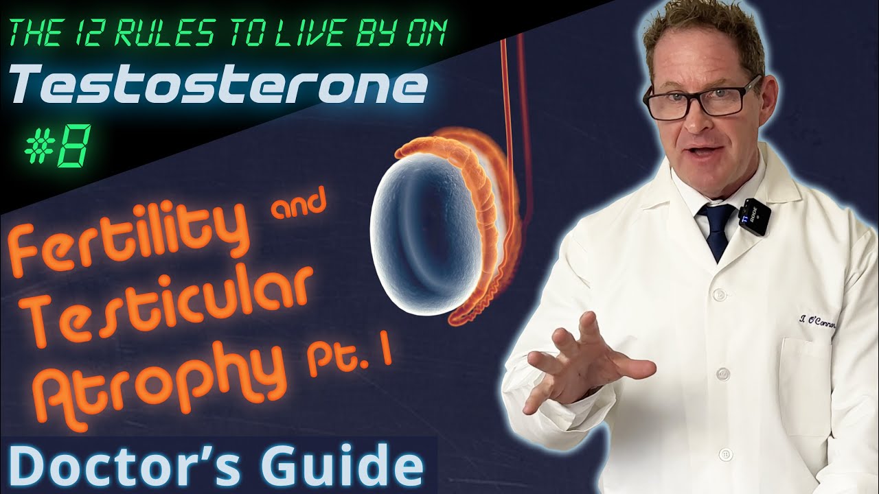 Fertility & Testicular Atrophy on TRT Pt. 1 - 12 Rules to Live by on Testosterone - Doctor's Guide