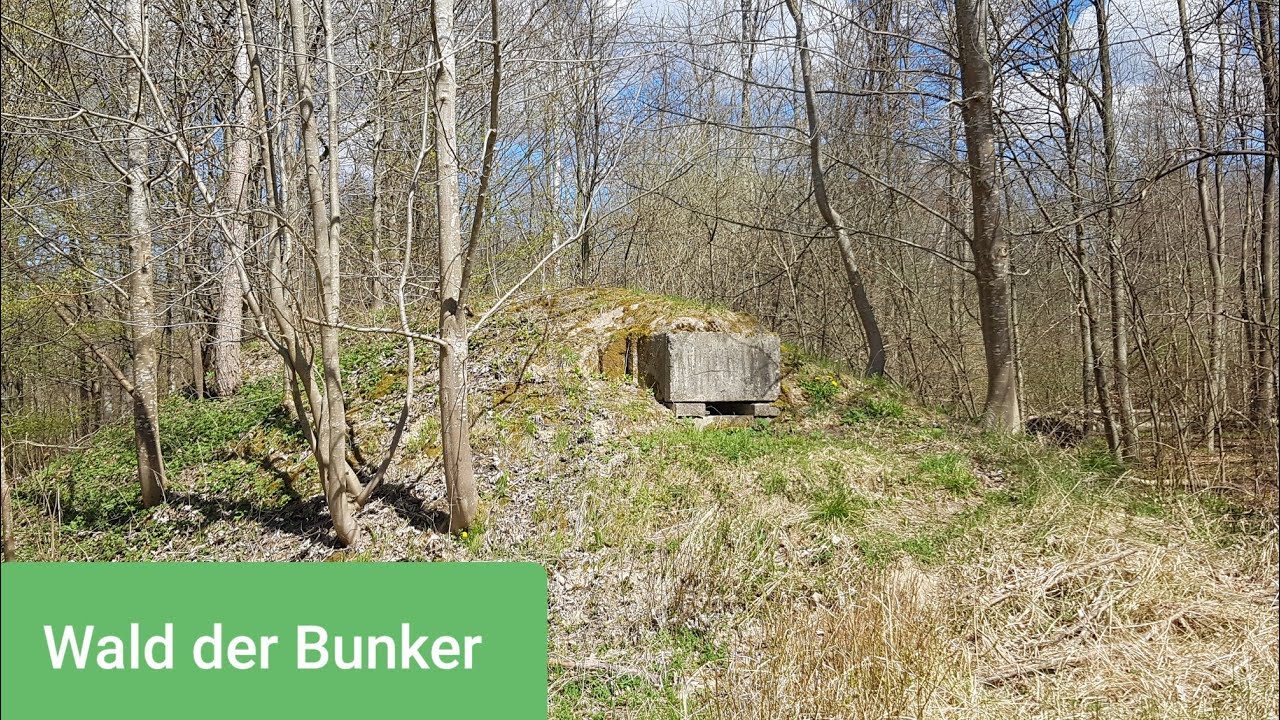 Wald der Bunker - Lost Places in Mecklenburg Vorpommern - Flugabwehrraketentruppen NVA - FRA 4321