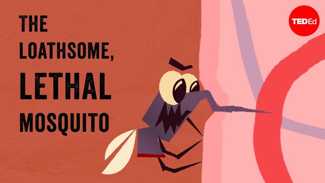 The loathsome, lethal mosquito - Rose Eveleth