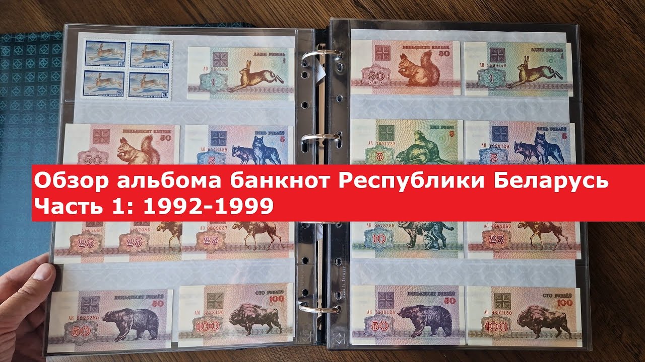 Бонистика #1 Обзор моего альбома банкнот Республики Беларусь Часть_1 #currencycollection #papermoney