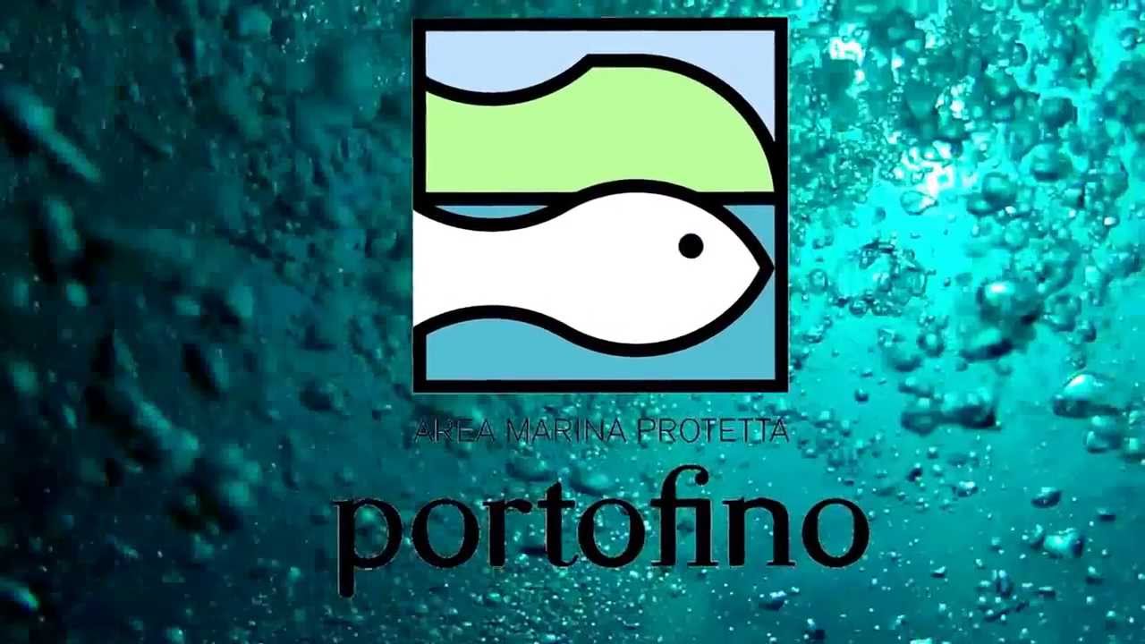 #naturaitalia Area marina protetta Portofino (Ge)