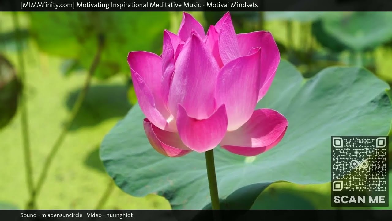 ⭐ Motivational Songs For Women ⭐ Zen Music Video ⭐ (Motivai Mindsets) ⭐ Calming Video ⭐ ...