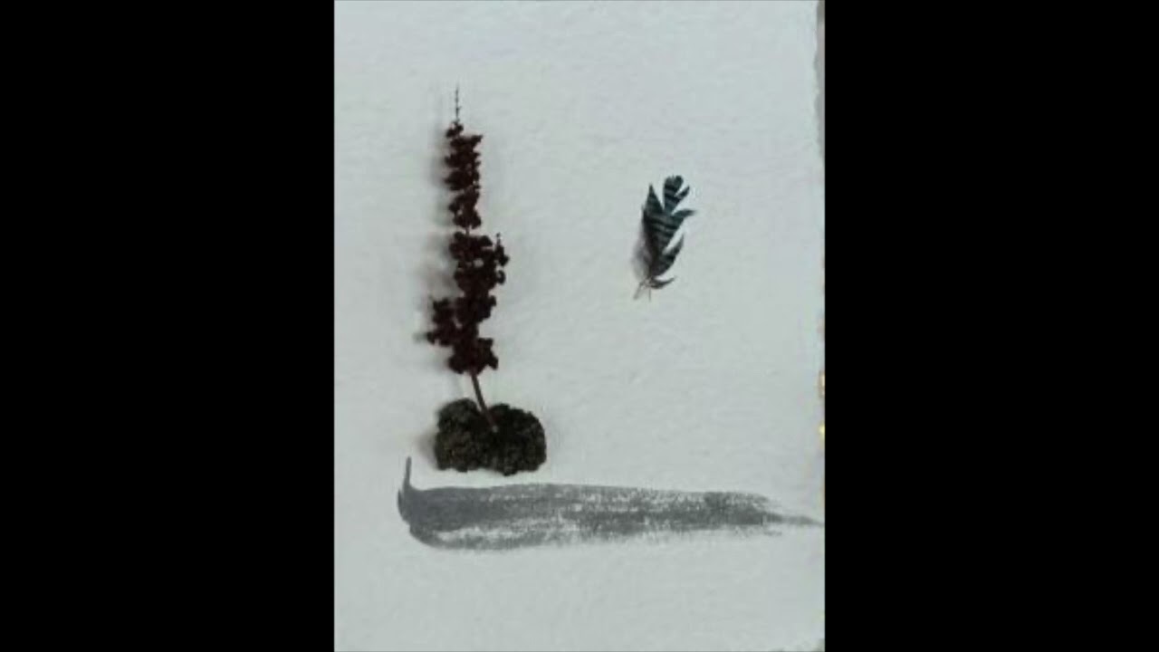 Haiku  - Paesaggi Dentro