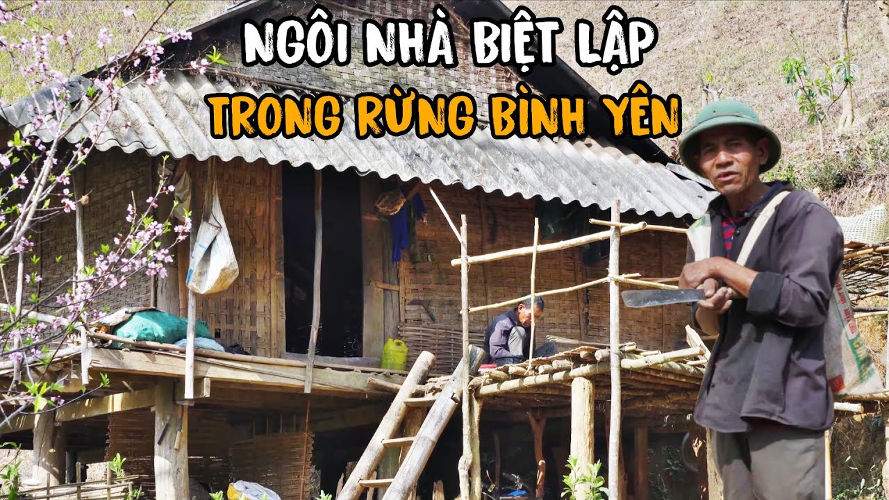 Bỏ phố lên rừng ông chú dựng nhà ẩn mình trên núi sống cuộc sống an nhàn tự do tự tại