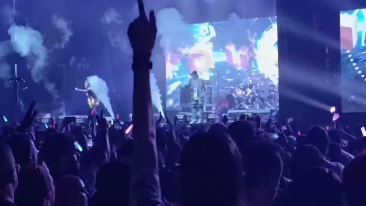 Flow - Sign (Live in Anime Friends 2025)