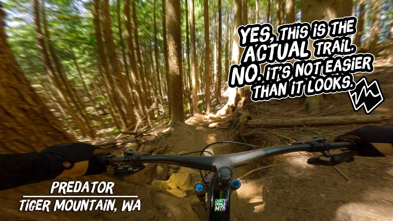 I've Been Eyeing Up This MTB Trail For 3 Years |Predator -Tiger Mountain, WA