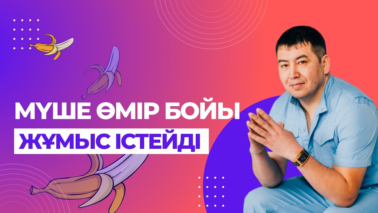 Бұдан кейін мүшең өмір бойы жұмыс істейтін болады