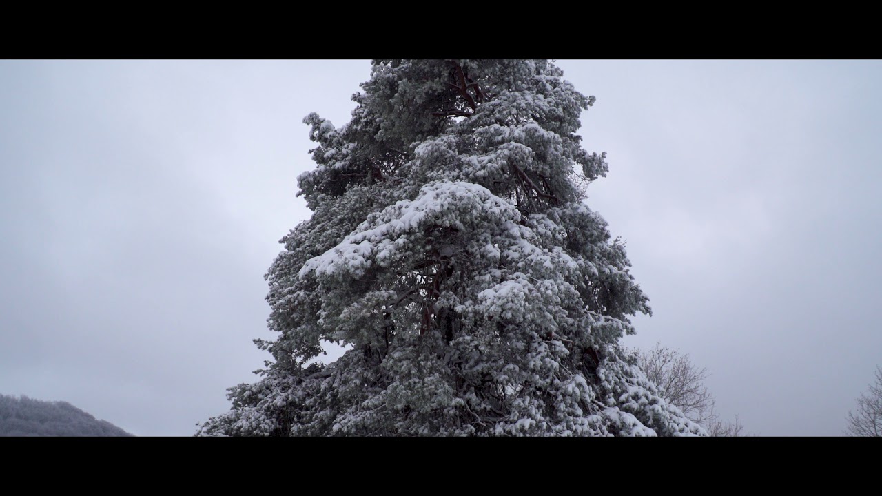 Winter auf der Schwäbischen Alb
