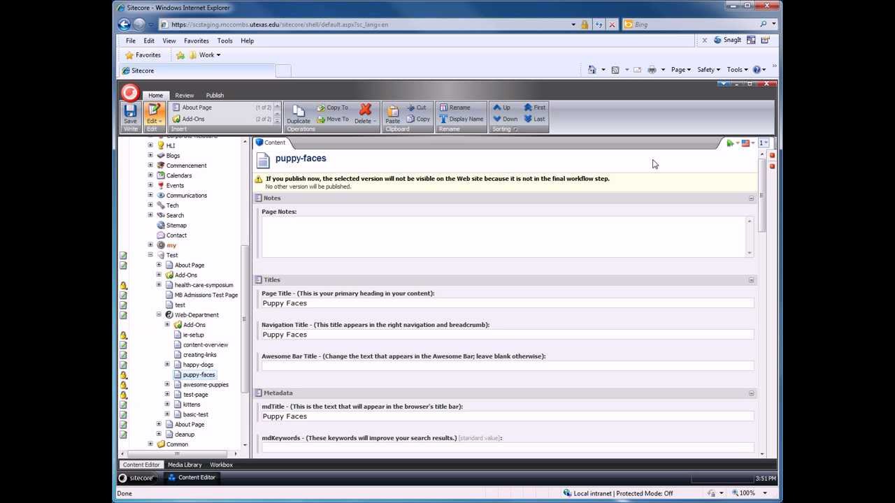 Submitting Your Work in Sitecore