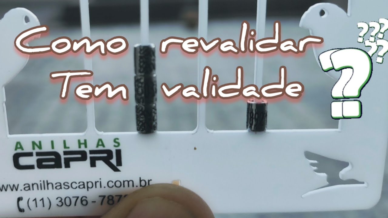 REVALIDAR RENOVAÇÃO DAS ANILHAS   validade das anilhas