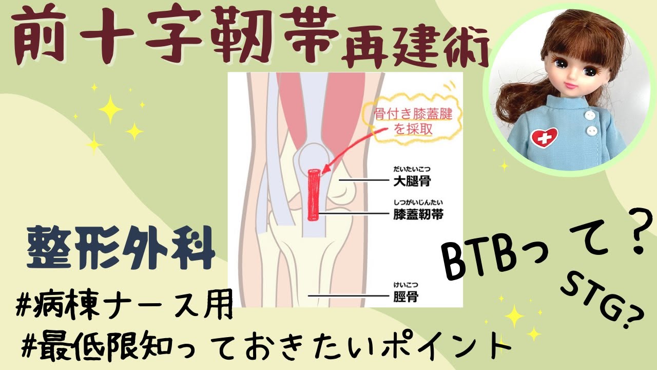 BTB?STG??前十字靭帯再建術★病棟ナースも知ってたほうが◎#看護師#整形外科#勉強