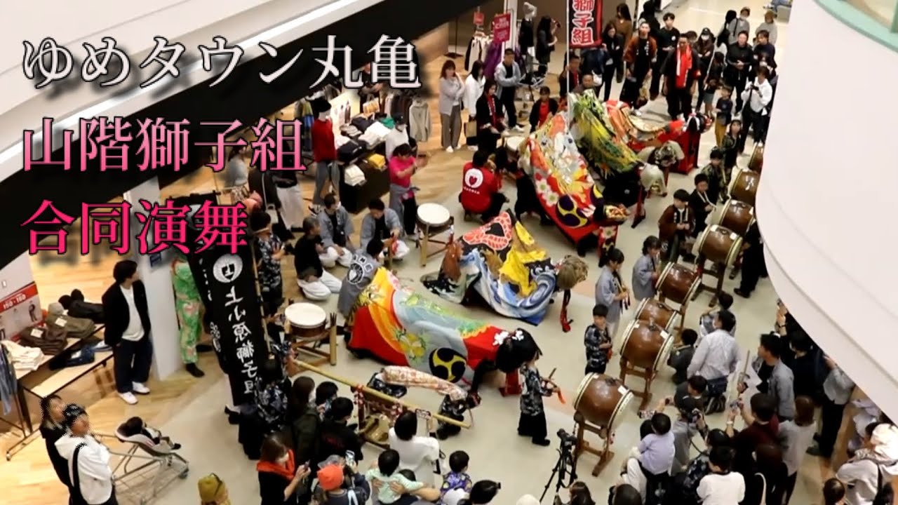 獅子舞2024 ゆめタウン丸亀さま 演舞2回目 多度津町山階獅子組合同演舞