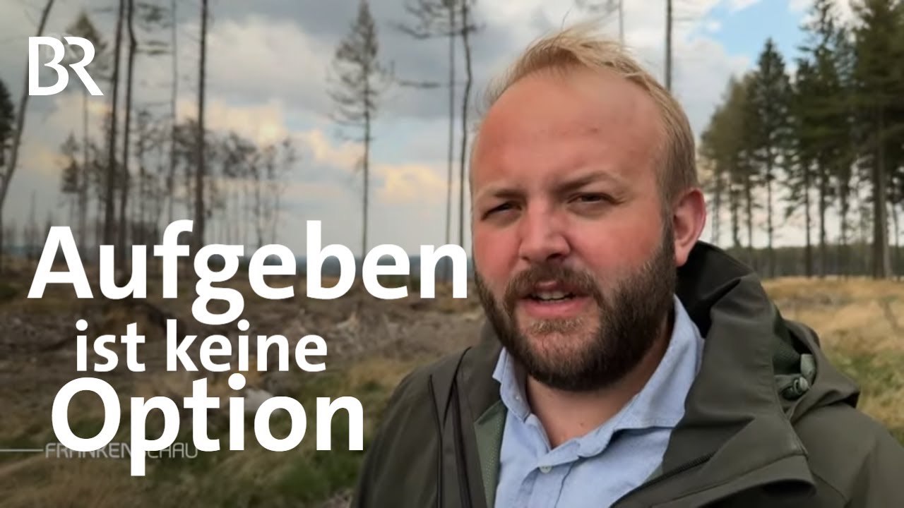 Wie der Frankenwald gerettet werden soll: Aufgeben ist keine Option | Frankenschau | BR