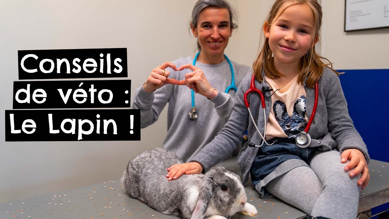 Conseils de véto : Le Lapin 🐰