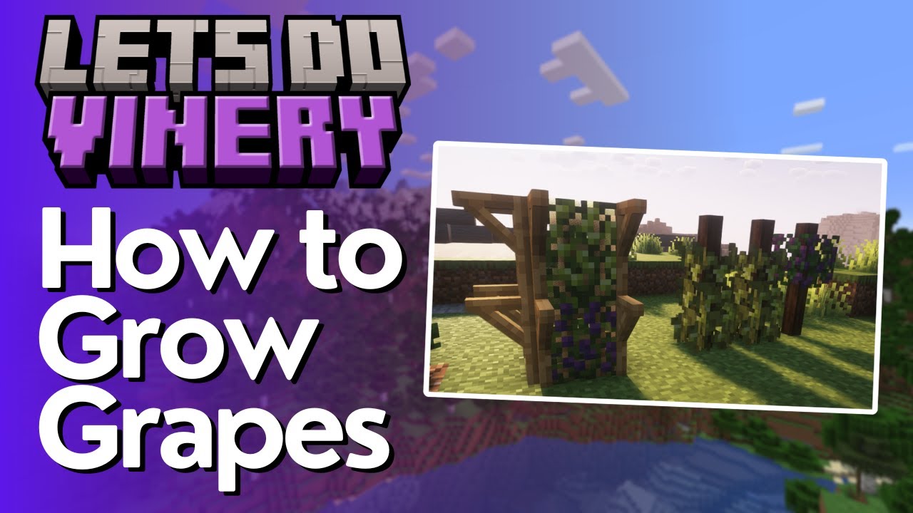 Как выращивать виноград в Let's Do Vinery