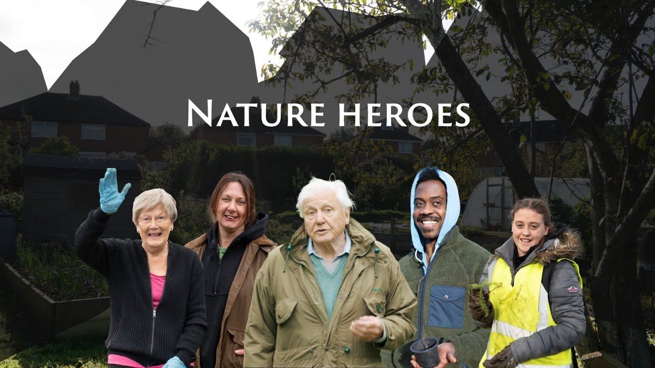 Nature heroes: communities unite to save UK Nature