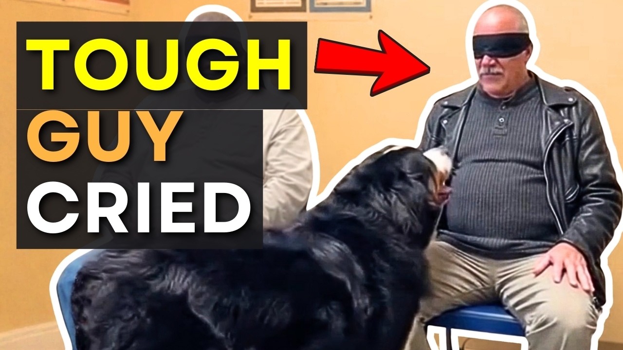 Every Dog Walked Past Everyone… Until This Moment