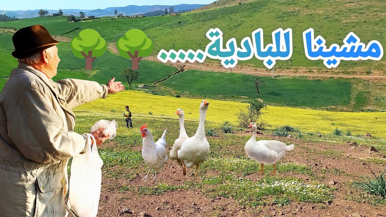 زيارة لأخي في البادية 