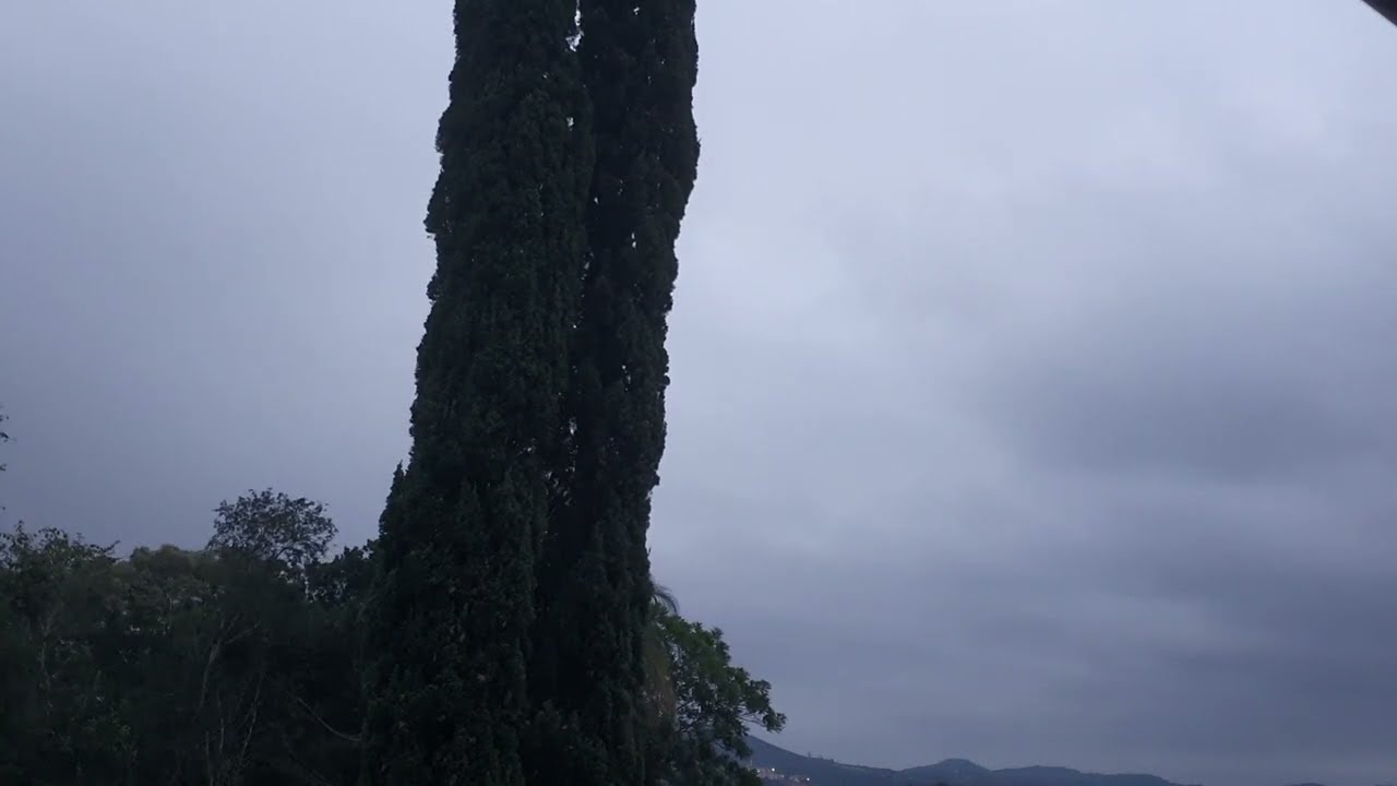 Weather Report, Roma (1980 - Speed Adjusted)